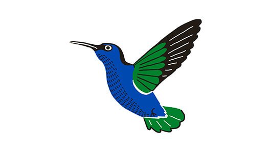 hummingbird-colibri