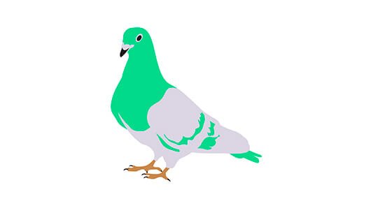google-pigeon
