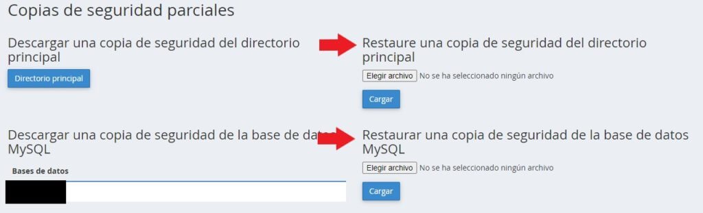 restaurar-copia-de-seguridad-cpanel