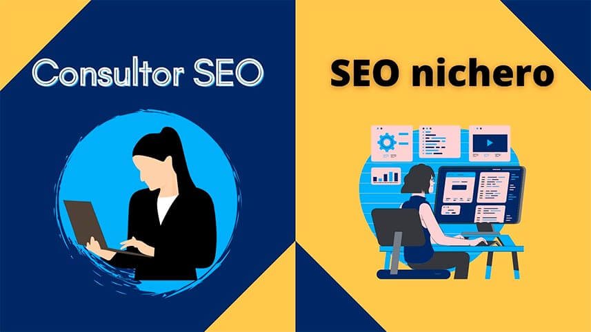 consultor-seo-vs-seo-nichero